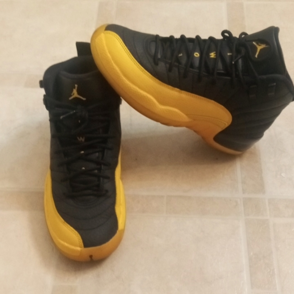 Jordan 12 retro
